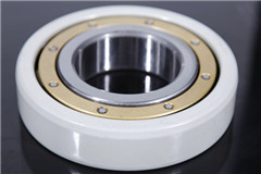 6316m/c3vl0241 insulated bearing